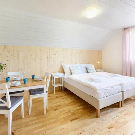 Apartment Marvelous View - Jezerka Lipno